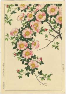 nishimura hodo cherry blossoms date c 1938 takemura hideo yokahama 