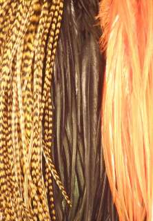  REAL Whiting Brand Feather Hair Extensions (Halloween Special)  