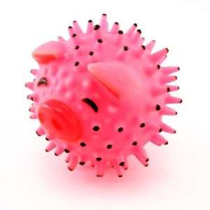  Squeaky Rubber Pig Dog Toy
