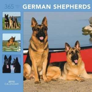  365 Days of German Shepherds 2010 Wall Calendar Office 