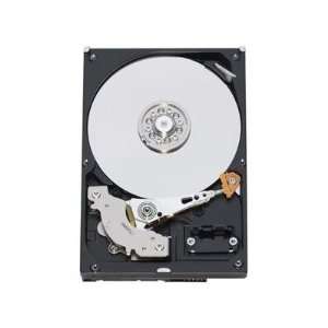  Western Digital 320 GB AV PATA 7200 RPM 8 MB Cache Bulk 