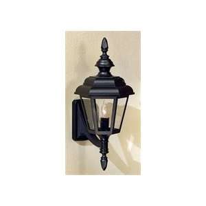   Light Outdoor Wall Light in Dark Bronze with Clear Acrylic Panel glass