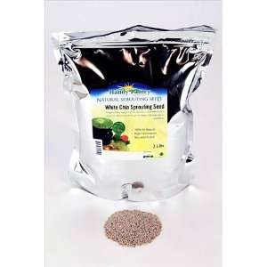 Organic White Chia Seeds  2.5 Lbs  Sprouting Seeds For Growing Sprouts 
