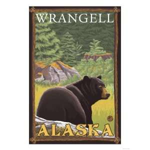 Black Bear in Forest, Wrangell, Alaska Giclee Poster Print, 30x40