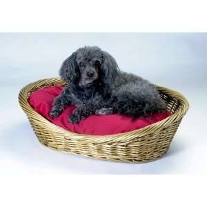  Wicker Pet Bed WITH Pillow 32x24 Black