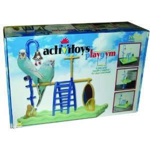  JW Pet Company Activitoys Play Gym Bird Toy