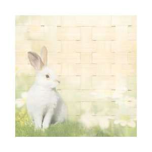   House Productions   Easter Collection   12 x 12 Paper   Easter Bunny