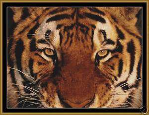 Cross Stitch Chart   Look Into My Eyes   Tiger  