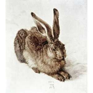  The Young Hare by Albrecht Durer. Size 14.13 X 16.00 Art 