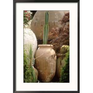  Tall Cactus in Terracotta Urn, Chelsea Flower Show 1997 