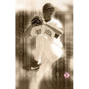 Pedro Martinez Boston Red Sox Poster 3009