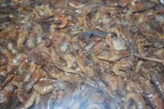 LB ~ FREEZE DRIED RED SHRIMP ~ Fish, Turtle, Frog Food  