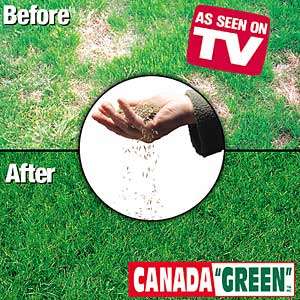 Canada Green Grass Seed 2 lb Bag   For Perfect Lawn New  