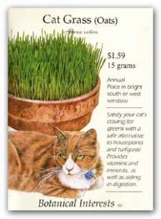 Cat Grass (Oats) Seeds   15 grams  