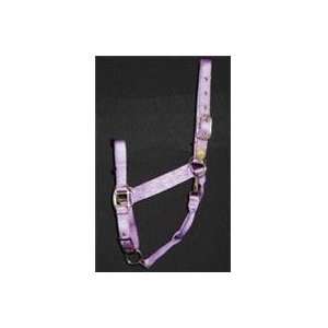    Equine Tack & Other EquipmentHALTERS & LEADS NYLON)