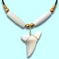Mako Lateral shark tooth necklace #gC  