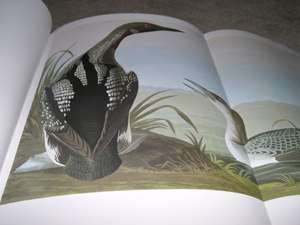 Easton Press SIGND Audubon Society Baby Elephant Folio BIRDS OF 