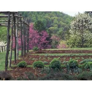  Vegetable Garden at Monticello, Thomas Jeffersons Home in 