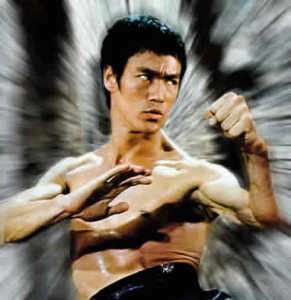 Bruce Lee SECRETS Martial Arts & Karate eBook CD ROM  