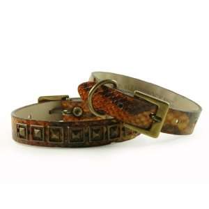  Leatherock Snake Dog Collar in Italian Leather   Topaz M 
