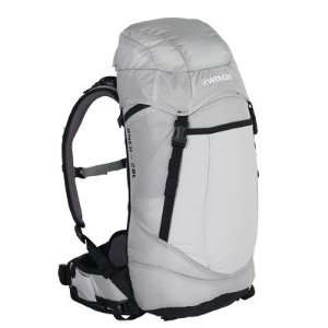 Wenger Onex Backpack (20L, Grey)
