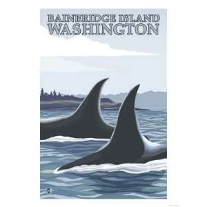 Orca Whales #1, Bainbridge Island, Washington Giclee Poster Print 
