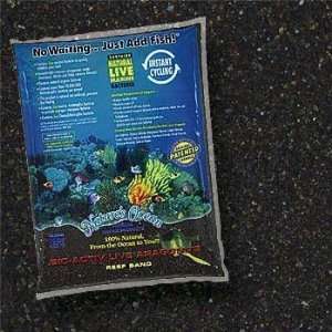  World Wide Imports Live Aragonite Black Sand 20 Lb 2 Pack 
