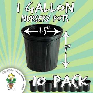 Gallon Nursery Pot