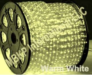  White 2 Wire LED Rope Light Decorative Lighting 609456115308  