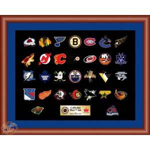  NHL Team Logo Framed Pin Set