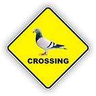 BLUE BAR RACING PIGEON NOVELTY CROSSING SIGN POLY