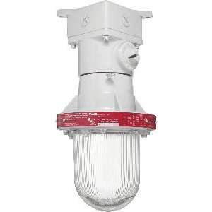  RAB Lighting EX12 Explosionproof Outdoor Close to Ceiling Light 
