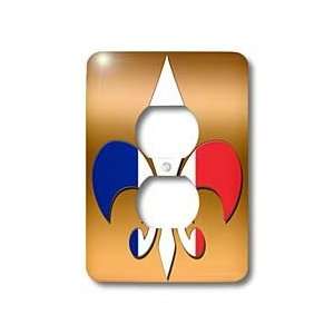   background French flag   Light Switch Covers   2 plug outlet cover