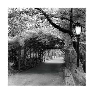  Central Park Pergola Giclee Poster Print by Erin Clark 