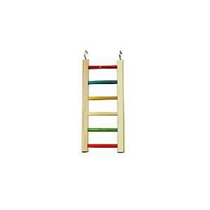  Caitec Cockatiel/Conure Rainbow Ladder 12 inch Pet 