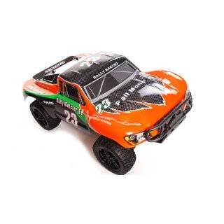   Rally Monster RTR Off Road Rally Car COLOR VARIES  SENT AT RANDOM by