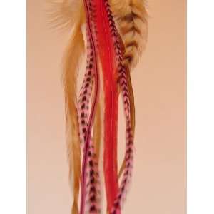   13 Barred Ginger and Hot Pink Premium Feather Hair Extensions Beauty