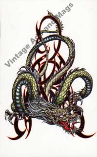 Temporary Tattoo Tribal Design Serpent Dragon Ink  