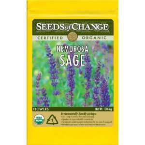 com Seeds of Change S13441 Certified Organic Nemorosa Sage, 150 Seed 