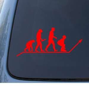 SKATE EVOLUTION   Car, Truck, Notebook, Vinyl Decal Sticker #1300 